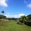 Hawaii Dec2012 0578