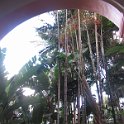 Hawaii Dec2012 0810