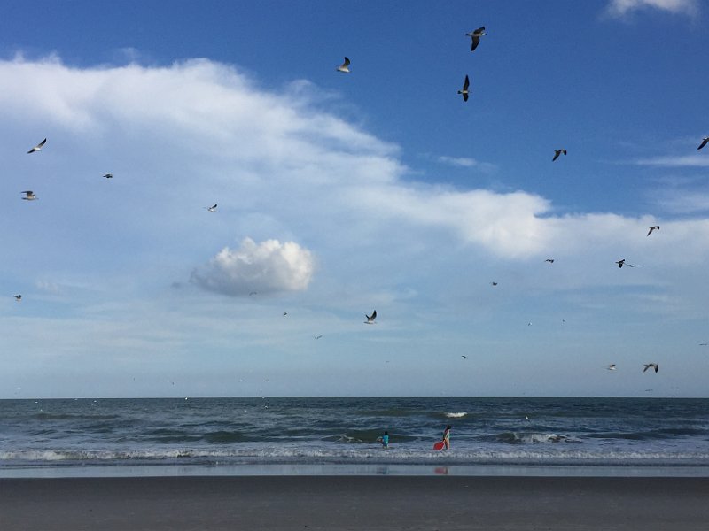 Florida Dec2015 0137
