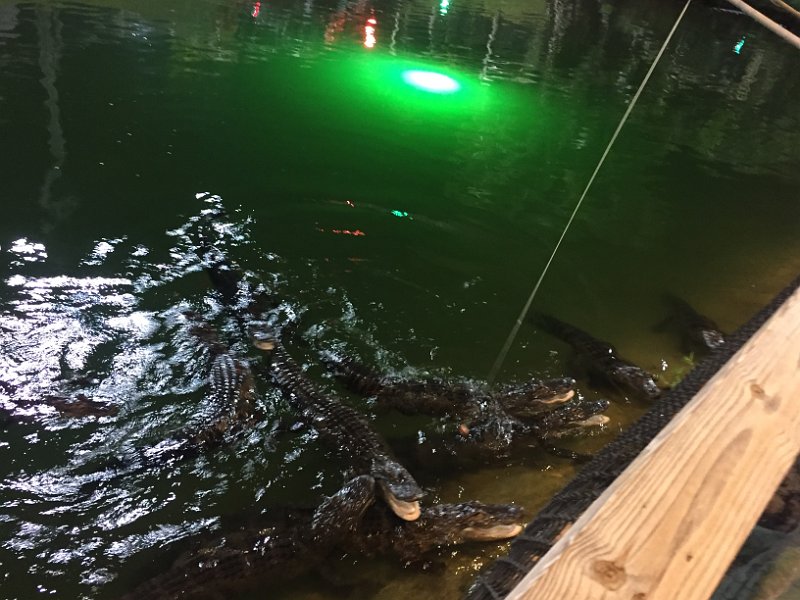 Florida Dec2015 0140