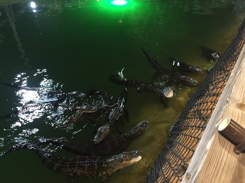 Florida Dec2015 0145