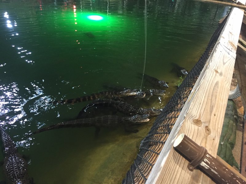 Florida Dec2015 0146