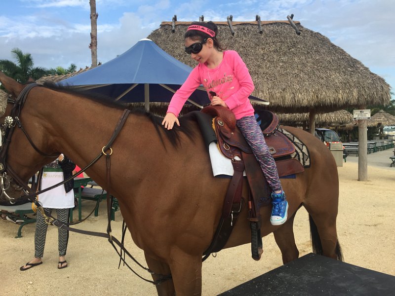 Florida Dec2015 0151