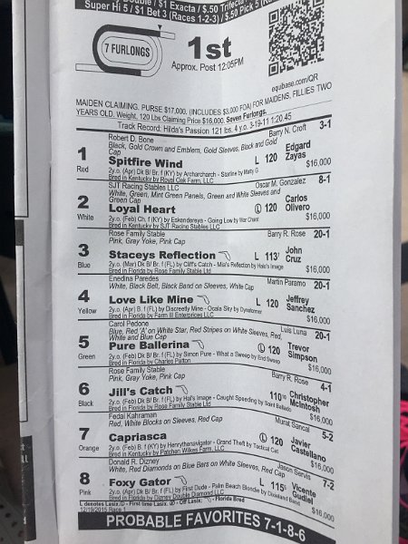 Florida Dec2015 0157