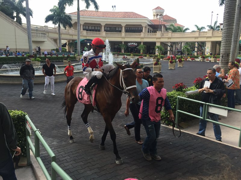 Florida Dec2015 0164