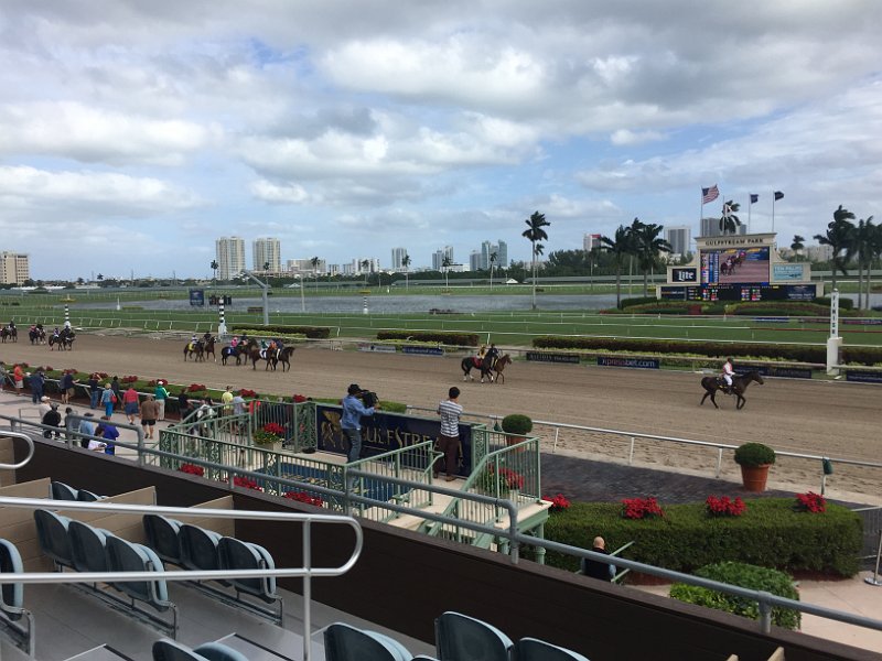 Florida Dec2015 0165