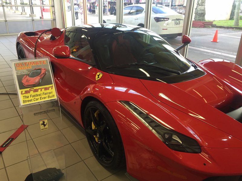 Florida Dec2015 0173