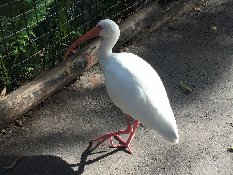 Florida Dec2015 0180