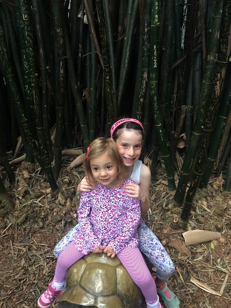 Florida Dec2015 0184