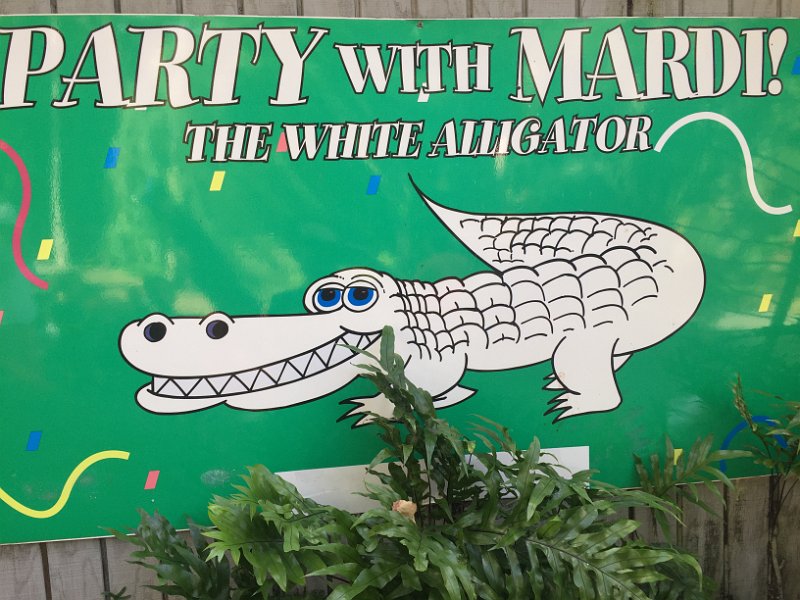 Florida Dec2015 0193