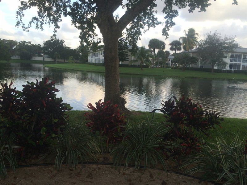 Florida Dec2015 0258