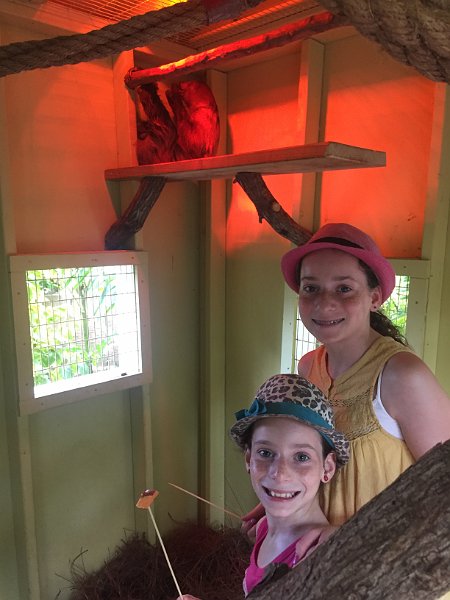 Florida Dec2015 0329