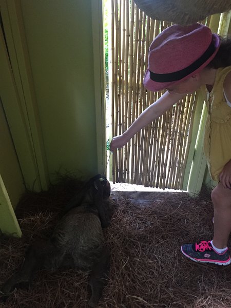 Florida Dec2015 0330