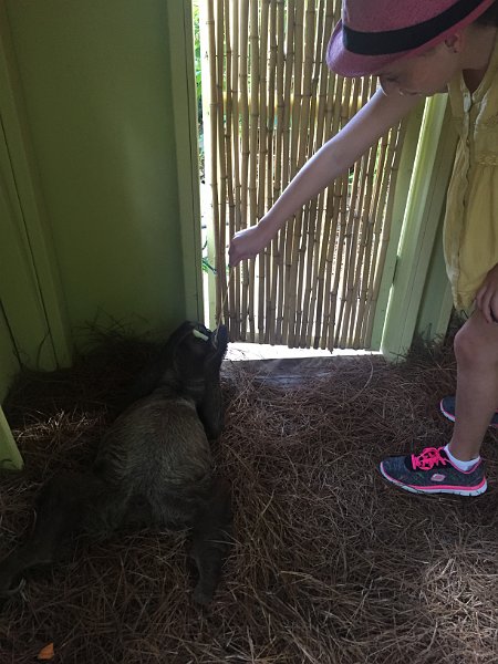 Florida Dec2015 0331