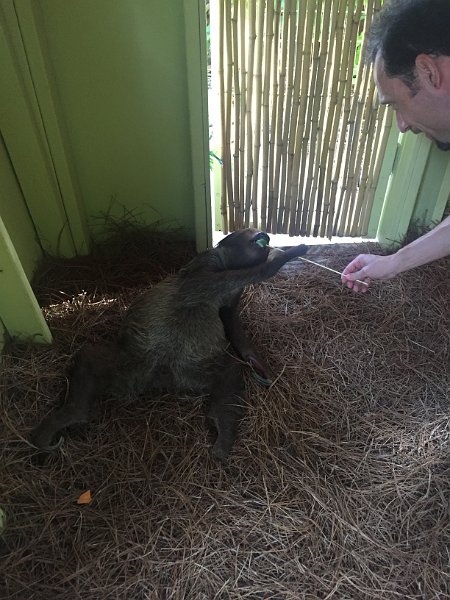 Florida Dec2015 0333