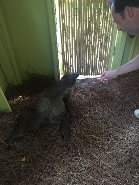 Florida Dec2015 0334