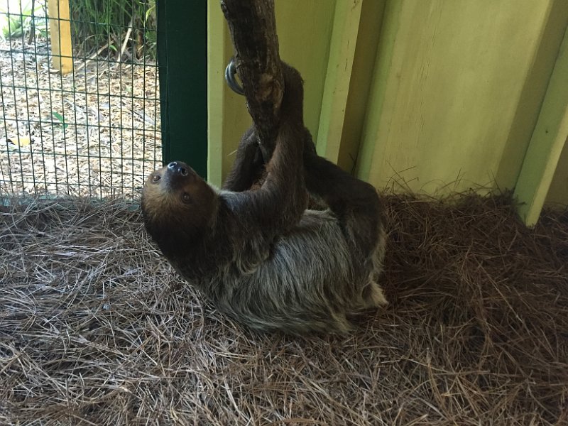 Florida Dec2015 0337