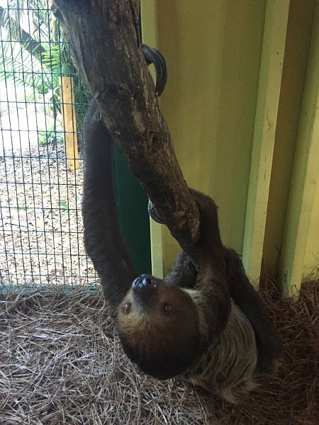 Florida Dec2015 0338