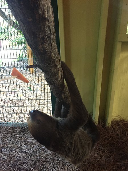 Florida Dec2015 0340