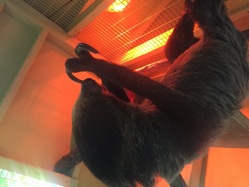 Florida Dec2015 0356