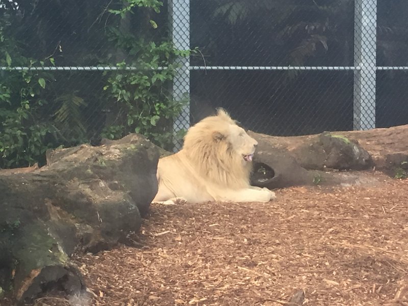 Florida Dec2015 0358