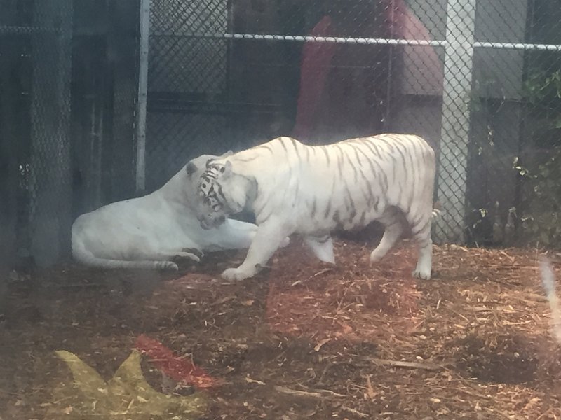 Florida Dec2015 0359