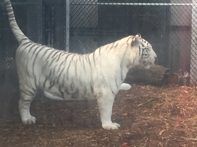 Florida Dec2015 0360