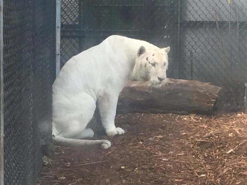 Florida Dec2015 0363