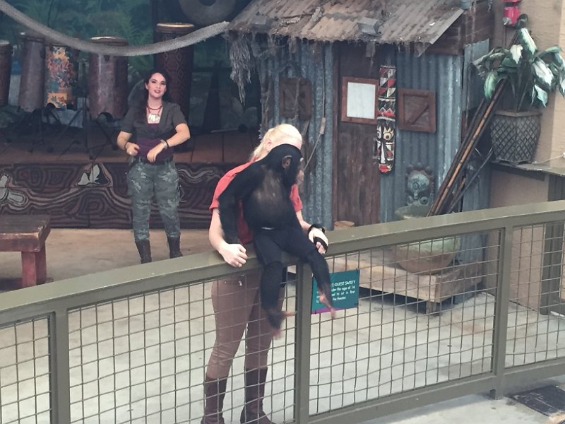 Florida Dec2015 0366