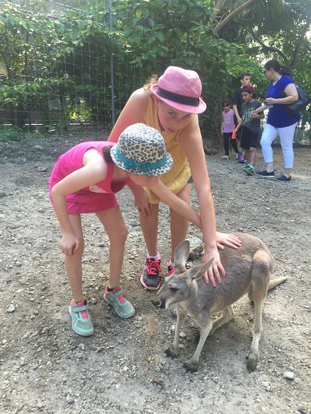 Florida Dec2015 0369