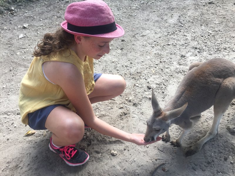 Florida Dec2015 0371