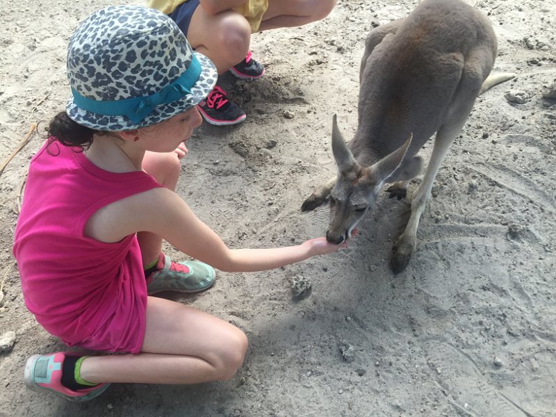 Florida Dec2015 0372