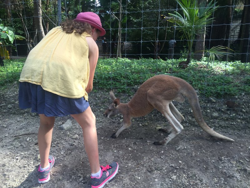 Florida Dec2015 0373