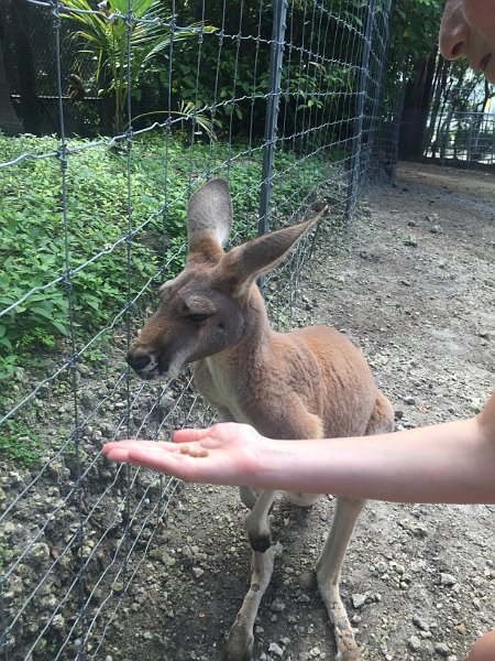 Florida Dec2015 0375