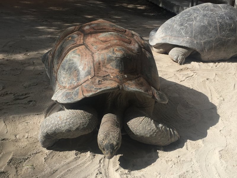 Florida Dec2015 0376