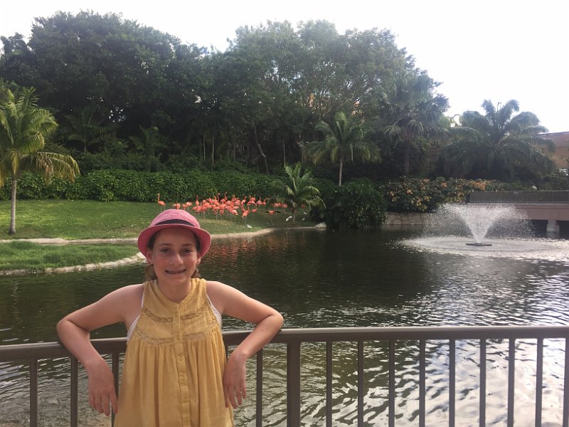 Florida Dec2015 0377