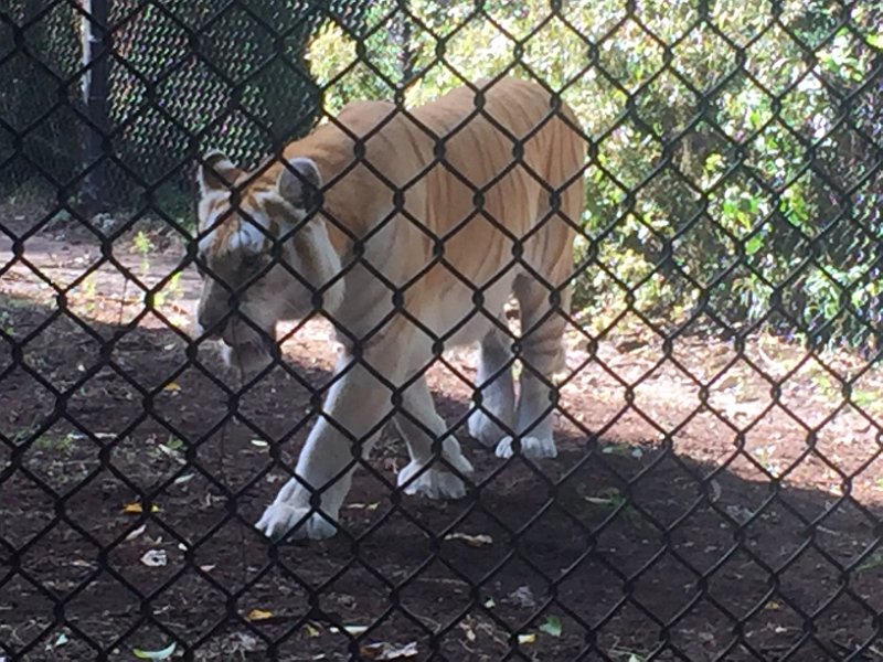Florida Dec2015 0378