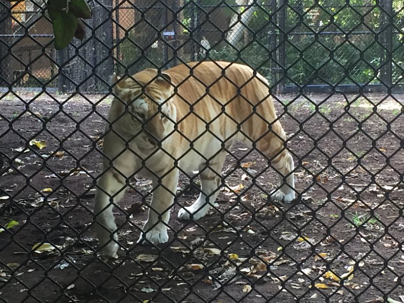 Florida Dec2015 0379