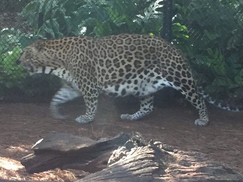 Florida Dec2015 0380