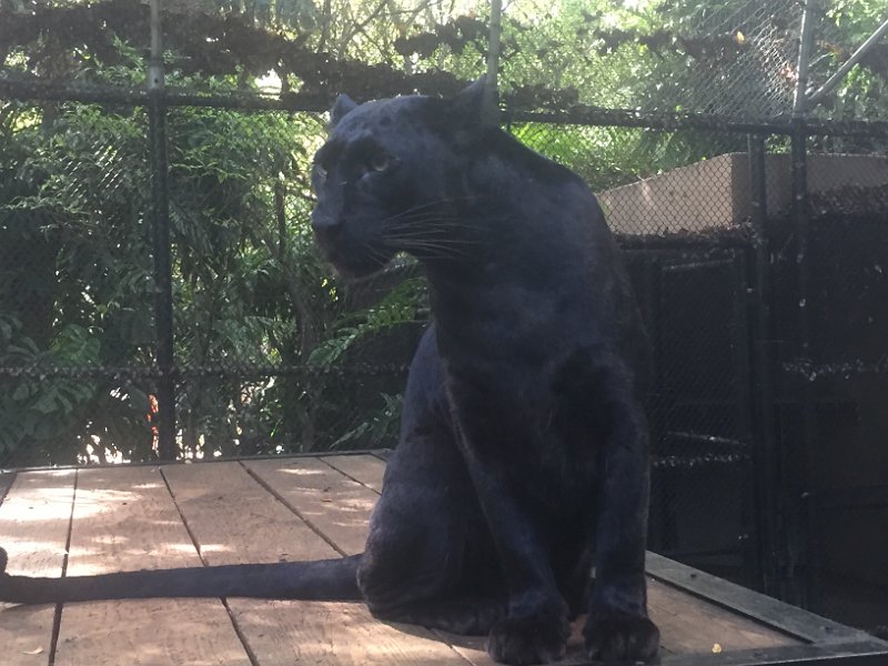 Florida Dec2015 0381