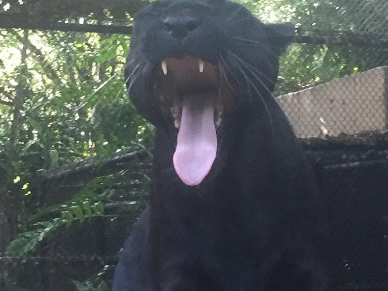 Florida Dec2015 0383