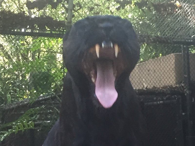 Florida Dec2015 0384