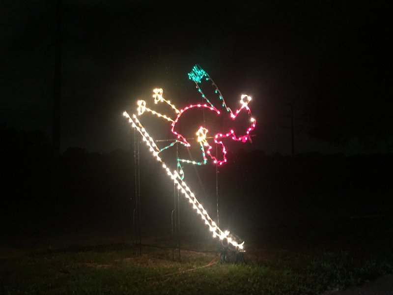 Florida Dec2015 0389