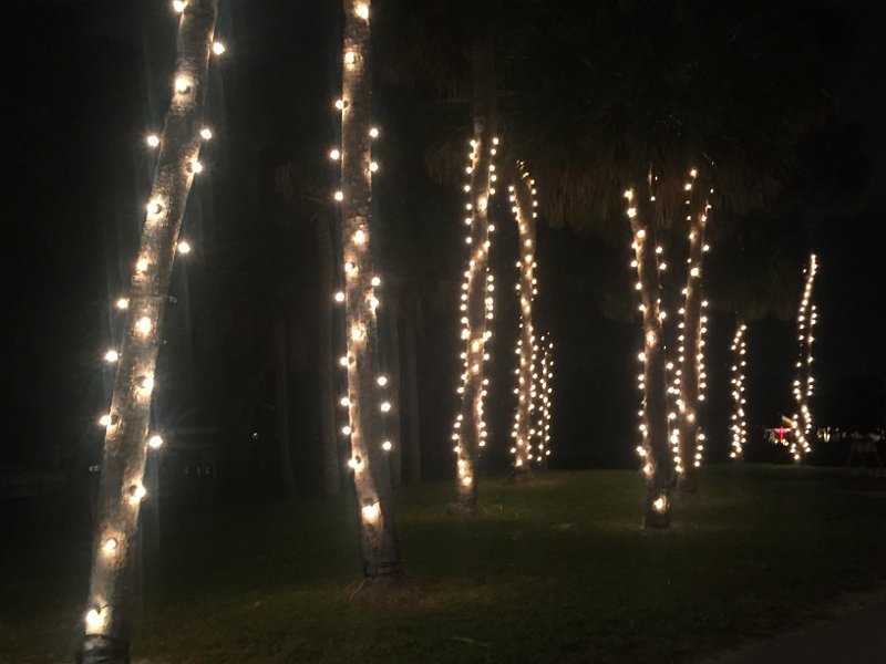 Florida Dec2015 0391