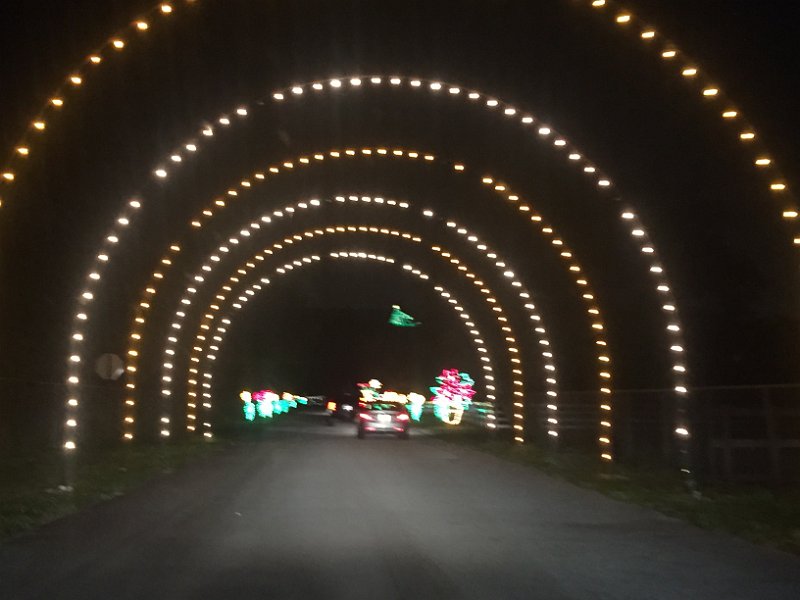 Florida Dec2015 0393