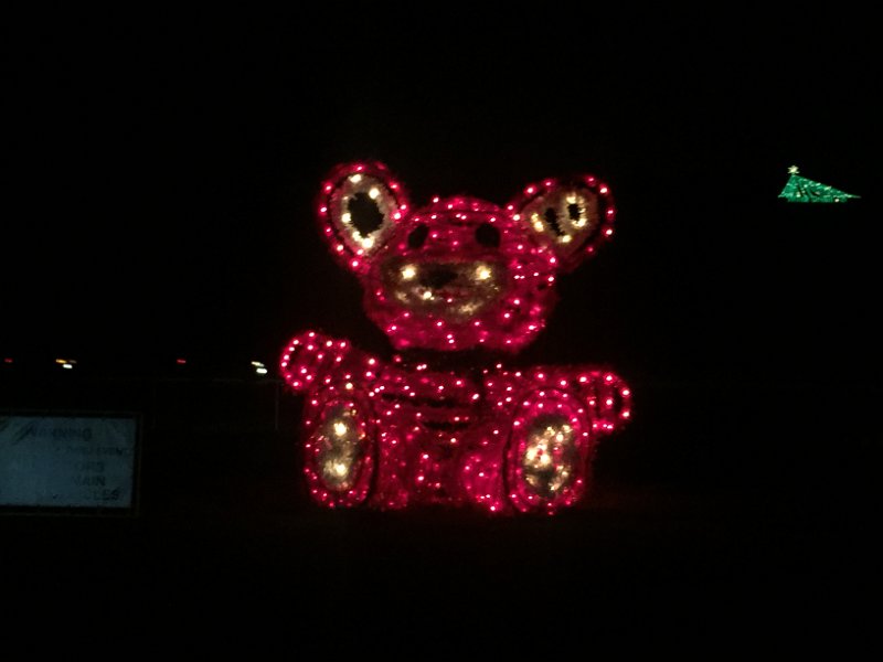 Florida Dec2015 0394