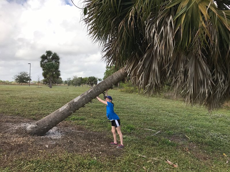 Florida Dec 2016 0134