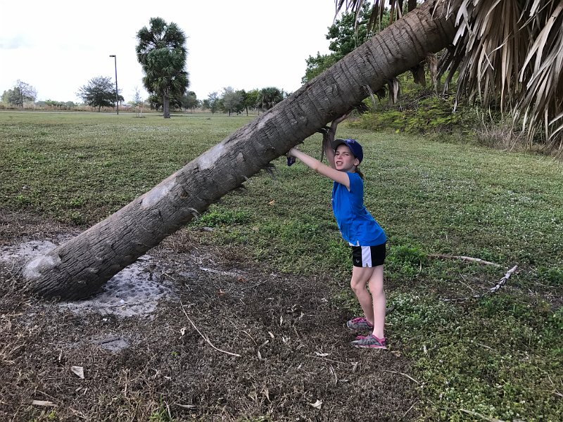 Florida Dec 2016 0135