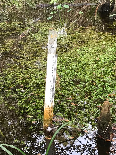 Florida Dec 2016 0230