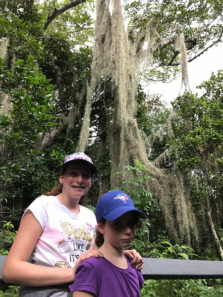 Florida Dec 2016 0231